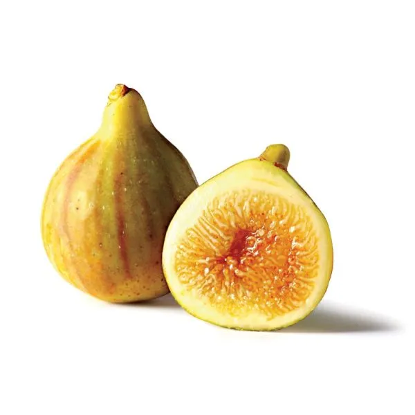 Smokva “Bružetka bijela” (Ficus carica L.)