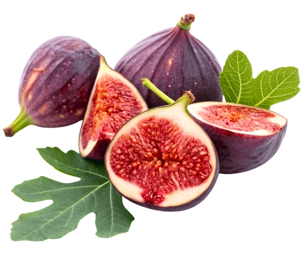 Smokva “Bružetka crna” (Ficus carica)