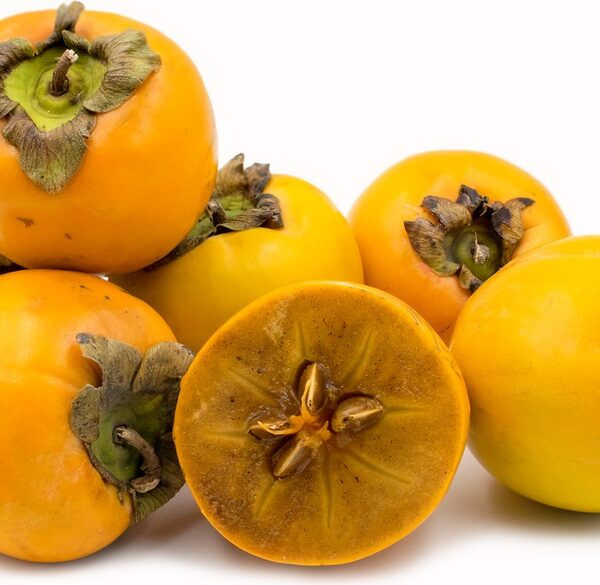 Japanska jabuka "KAKI" (Diospyros kaki)-VANILLA